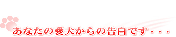 あなたの犬達からの告白です