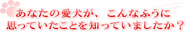あなたの犬達からの告白です